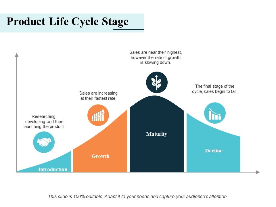 Product_Life_Cycle_Stage_Ppt_PowerPoint_Presentation_Styles_Microsoft_Slide_1.jpg