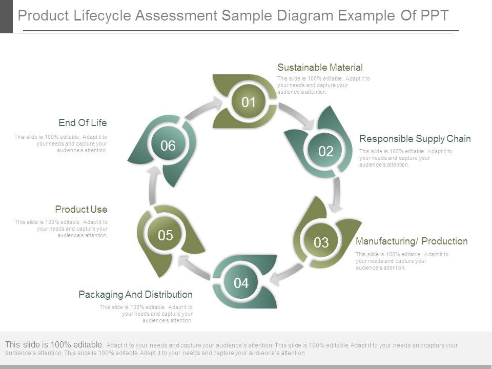 Product_Lifecycle_Assessment_Sample_Diagram_Example_Of_Ppt_1.jpg