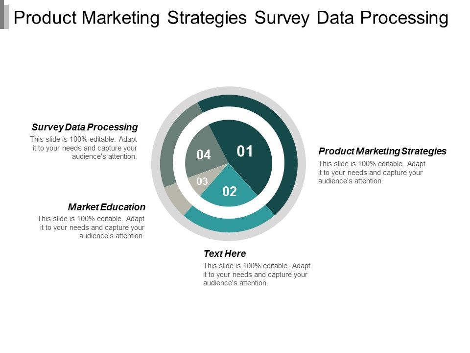 Product_Marketing_Strategies_Survey_Data_Processing_Market_Education_Ppt_PowerPoint_Presentation_Slides_Inspiration_Slide_1.jpg