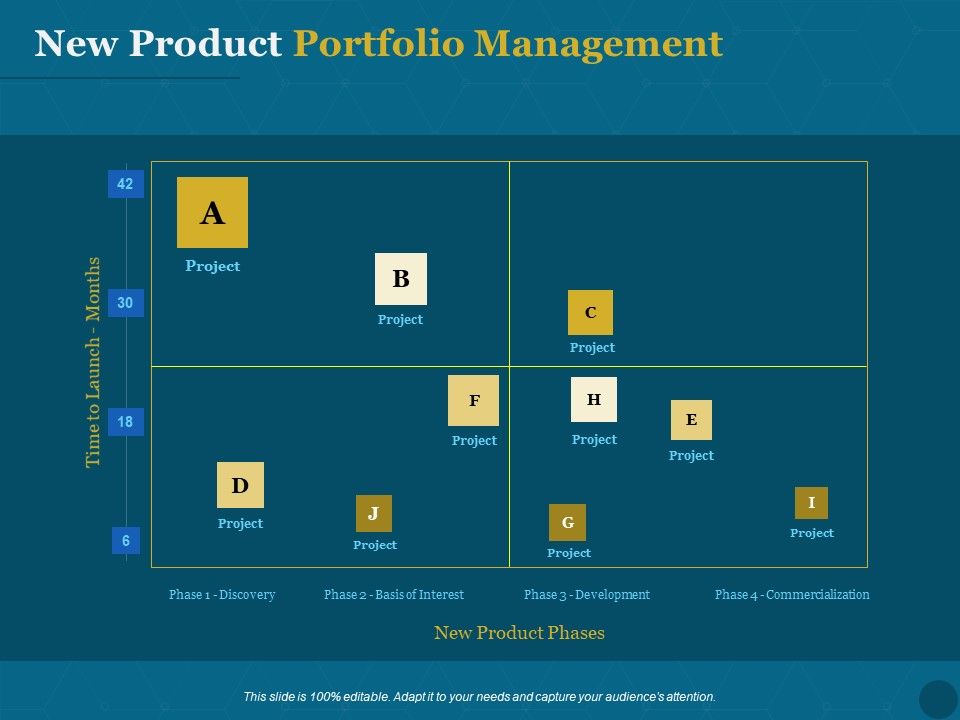 Product_Portfolio_Management_For_New_Product_Development_New_Product_Portfolio_Management_Diagrams_PDF_Slide_1.jpg