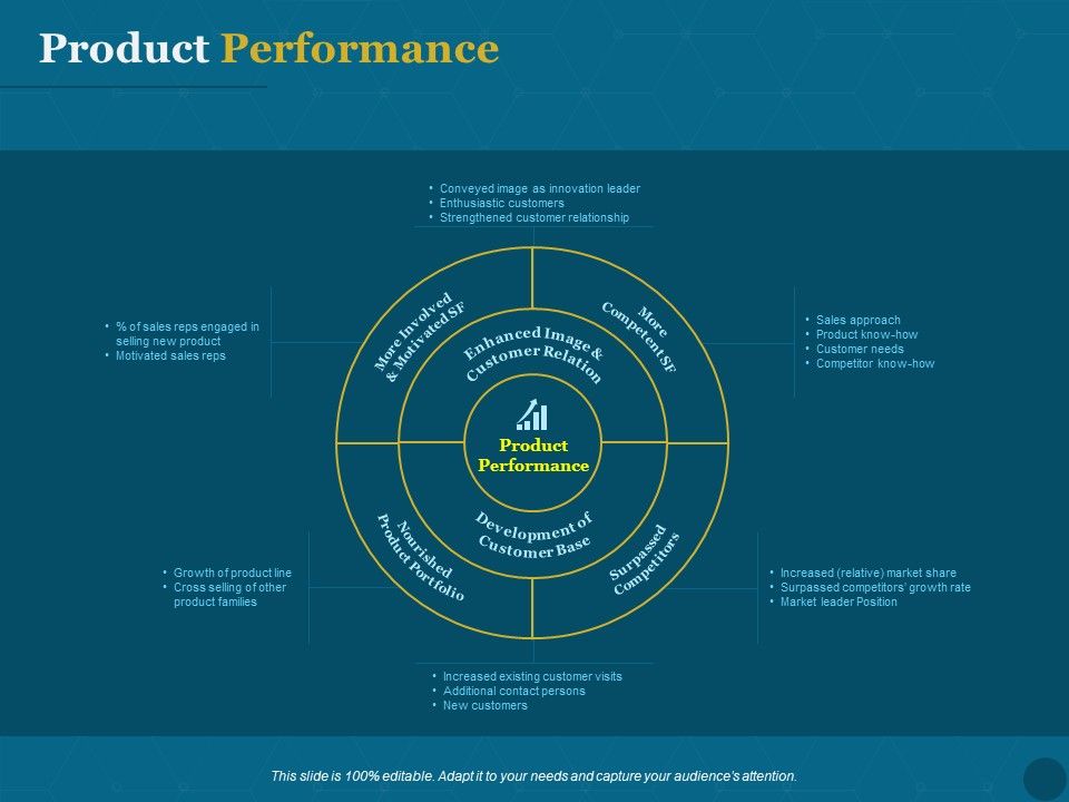 Product_Portfolio_Management_For_New_Product_Development_Product_Performance_Sample_PDF_Slide_1.jpg