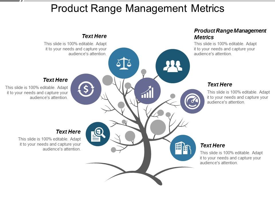 Product_Range_Management_Metrics_Ppt_PowerPoint_Presentation_Deck_Slide_1.jpg