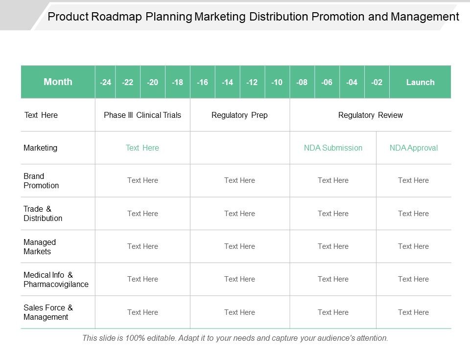 Product_Roadmap_Planning_Marketing_Distribution_Promotion_And_Management_Ppt_PowerPoint_Presentation_Summary_Tips_Slide_1.jpg