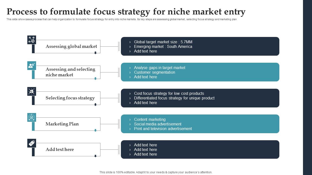 Product_Rollout_Techniques_Process_To_Formulate_Focus_Strategy_For_Niche_Market_Entry_Professional_PDF_Slide_1.jpg