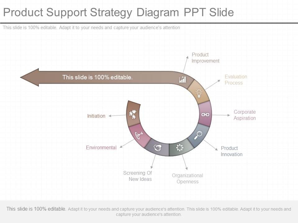 Product_Support_Strategy_Diagram_Ppt_Slide_1.jpg