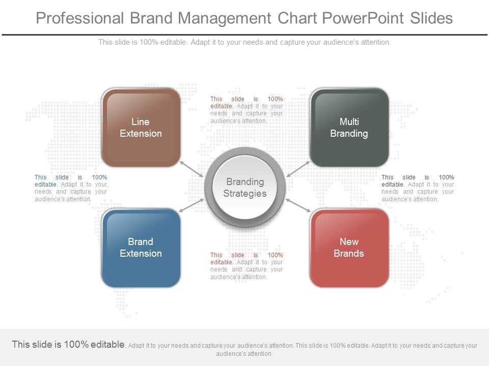 Professional_Brand_Management_Chart_Powerpoint_Slides_1.jpg