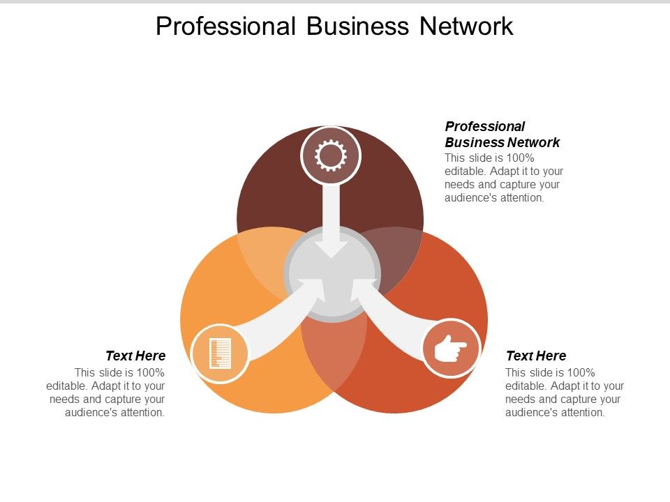 Professional_Business_Network_Ppt_PowerPoint_Presentation_Model_Design_Templates_Slide_1.jpg