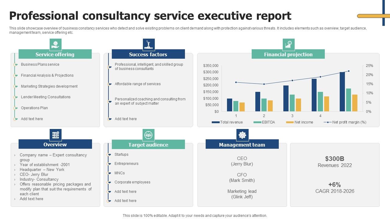 Professional_Consultancy_Service_Executive_Report_Demonstration_PDF_Slide_1.jpg