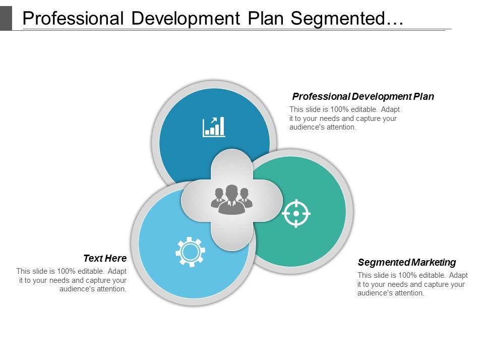 Professional_Development_Plan_Segmented_Marketing_Ppt_PowerPoint_Presentation_File_Show_Slide_1.jpg