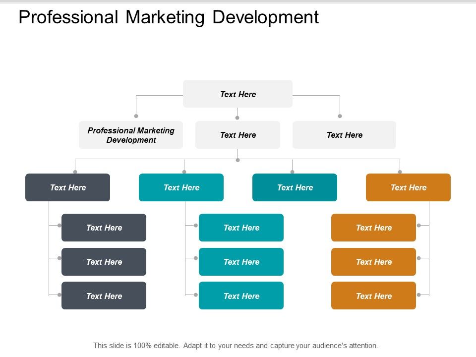 Professional_Marketing_Development_Ppt_PowerPoint_Presentation_Show_Guidelines_Cpb_Slide_1.jpg