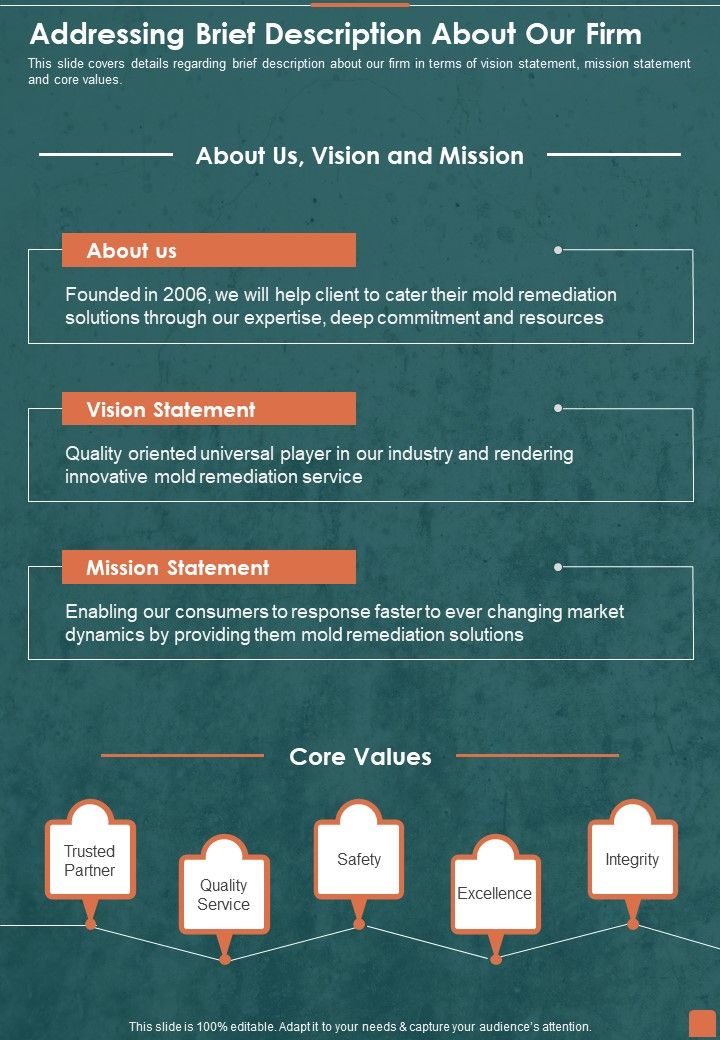 Professional Mold Inspection And Cleanup Services Addressing Brief Description About Our Firm One Pager Sample Example Document Slide01