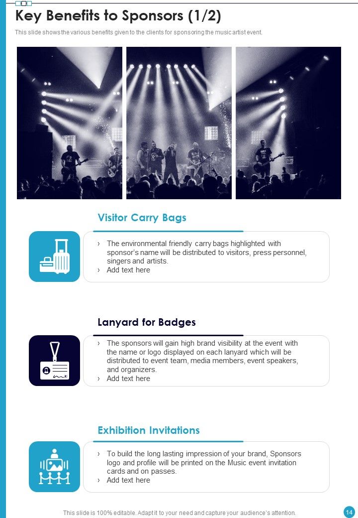 Professional Musician Proposal Example Document Report Doc Pdf Ppt