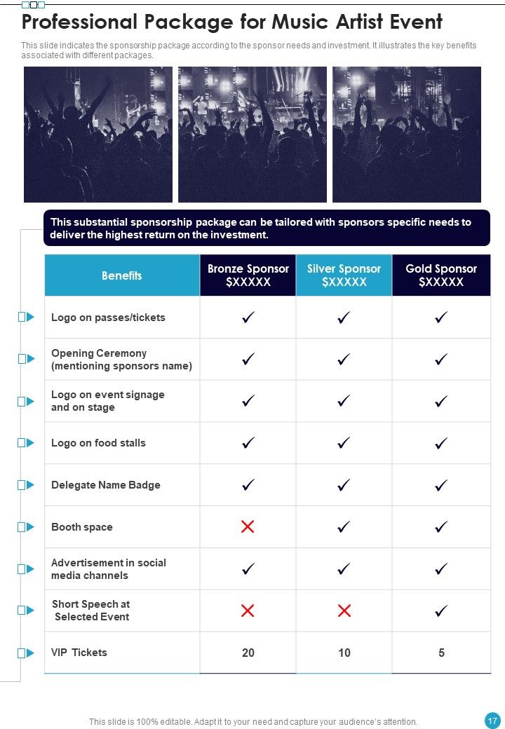 Professional Musician Proposal Example Document Report Doc Pdf Ppt