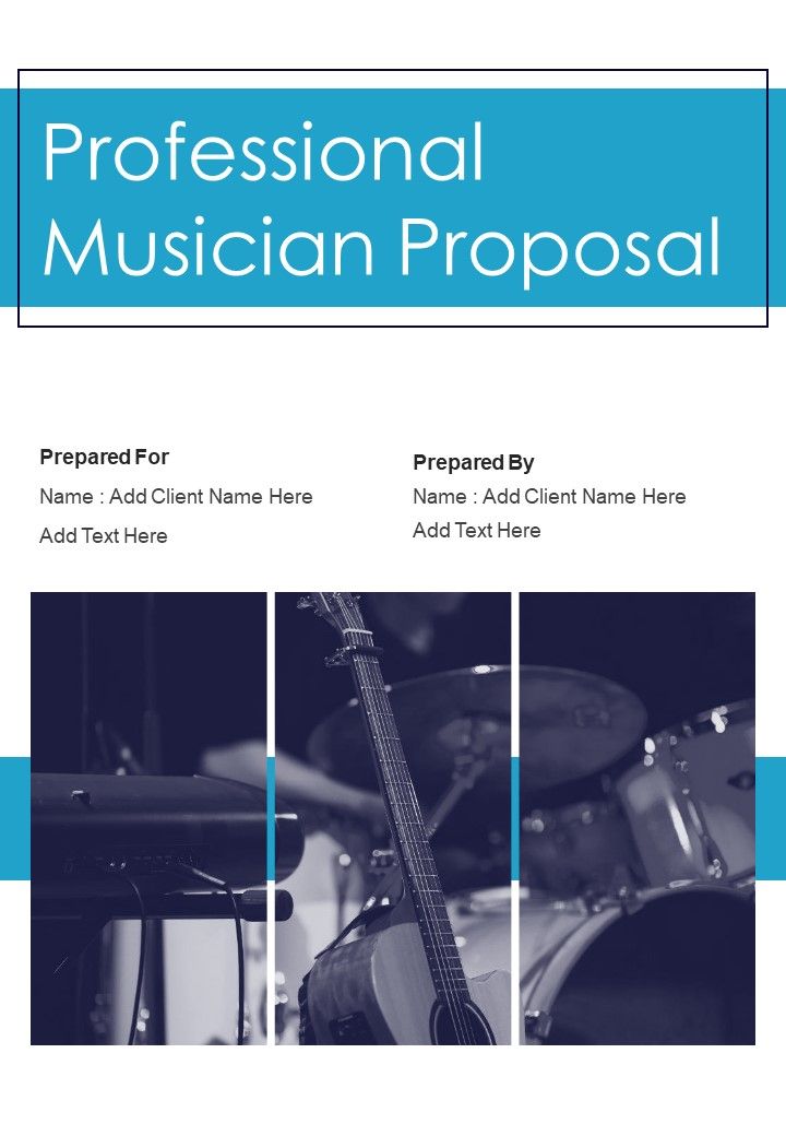 Professional Musician Proposal Example Document Report Doc Pdf Ppt Slide01