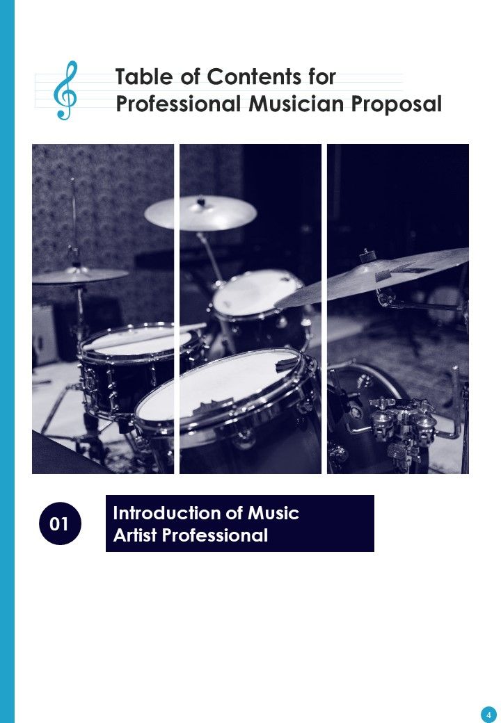 Professional Musician Proposal Example Document Report Doc Pdf Ppt
