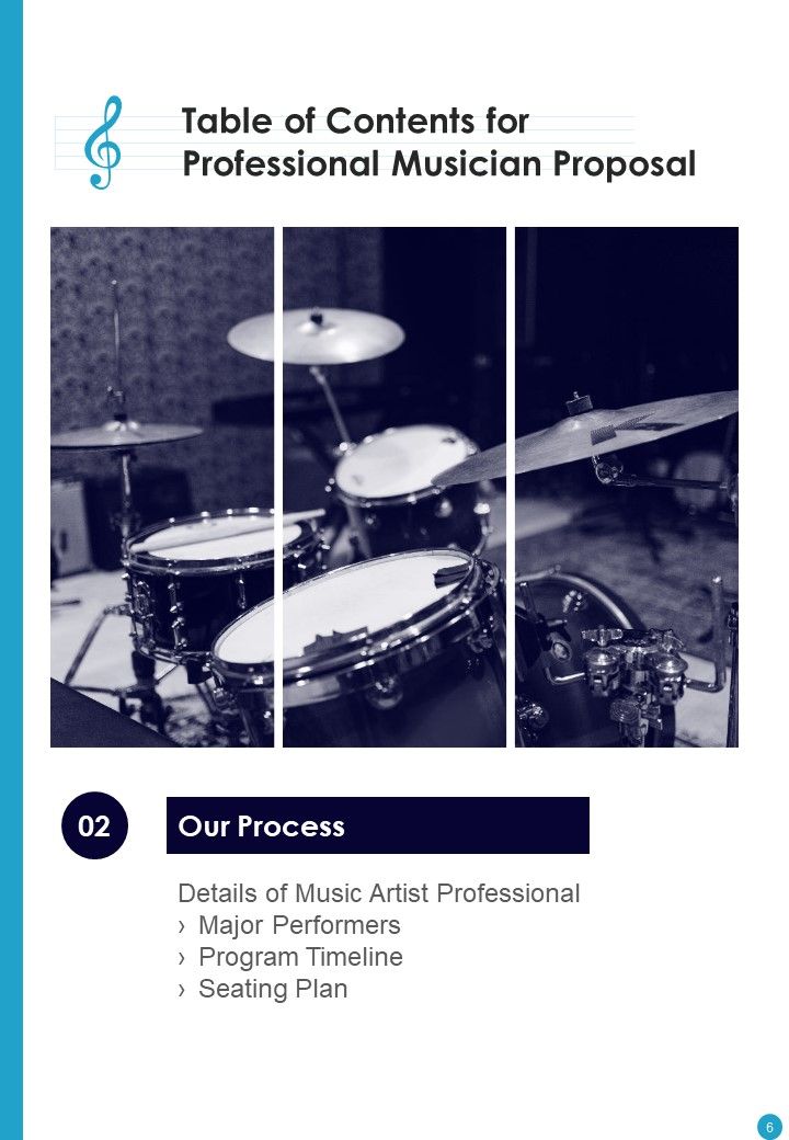 Professional Musician Proposal Example Document Report Doc Pdf Ppt