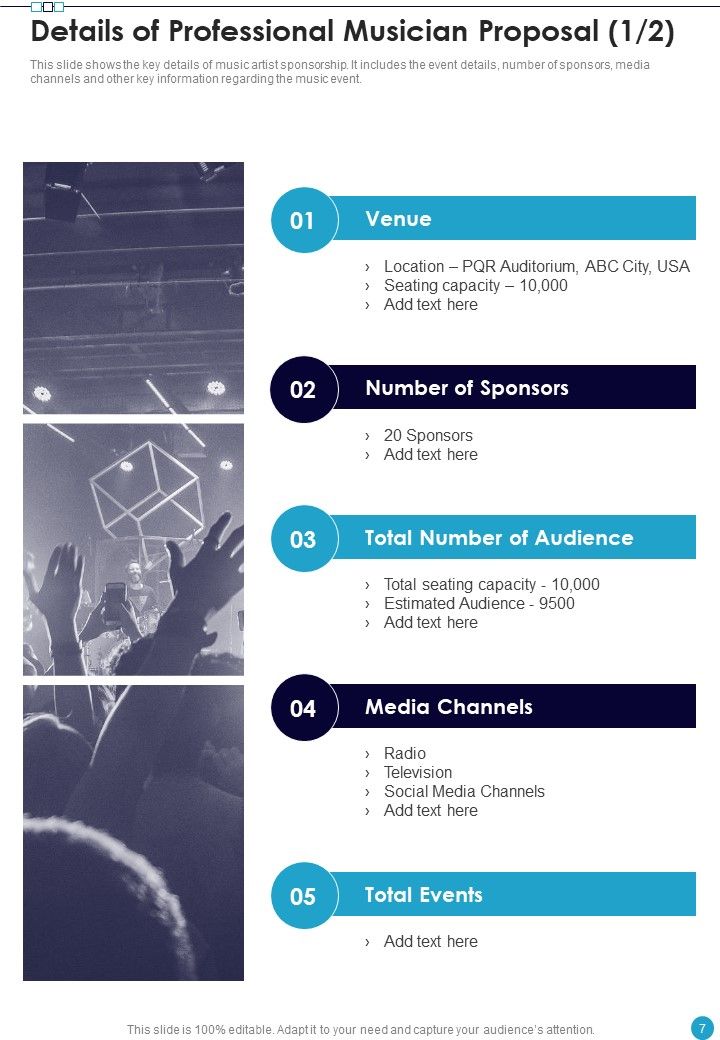 Professional Musician Proposal Example Document Report Doc Pdf Ppt