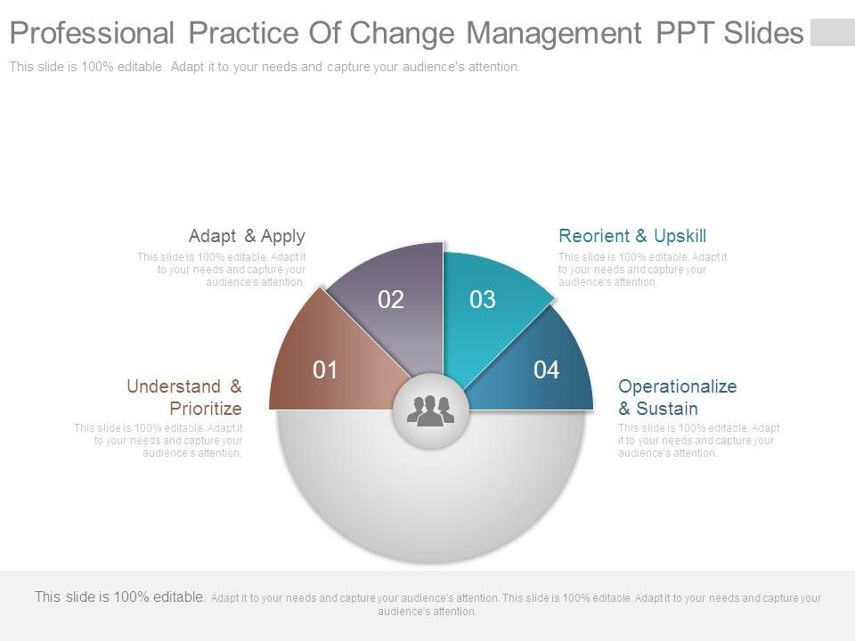 Professional_Practice_Of_Change_Management_Ppt_Slides_1.jpg