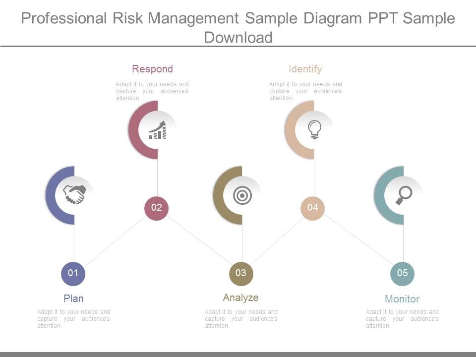 Professional_Risk_Management_Sample_Diagram_Ppt_Sample_Download_1.jpg