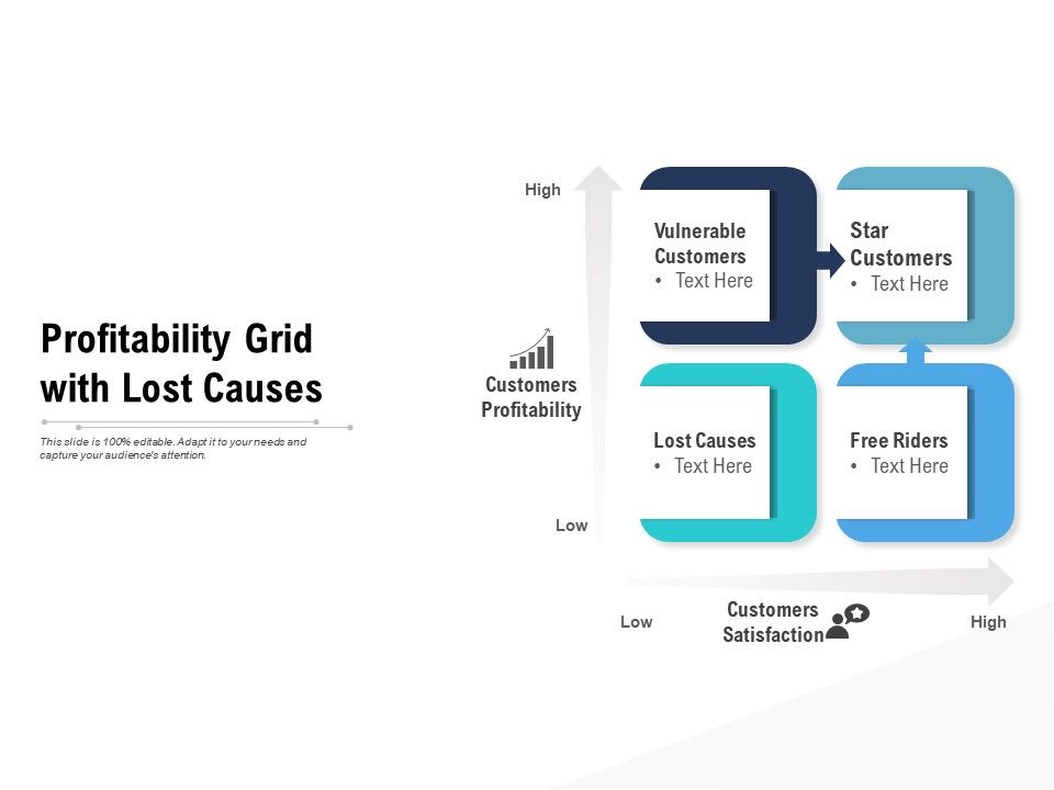 Profitability_Grid_With_Lost_Causes_Ppt_PowerPoint_Presentation_Gallery_Background_PDF_Slide_1.jpg