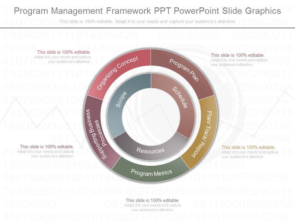 Program_Management_Framework_Ppt_Powerpoint_Slide_Graphics_1.jpg