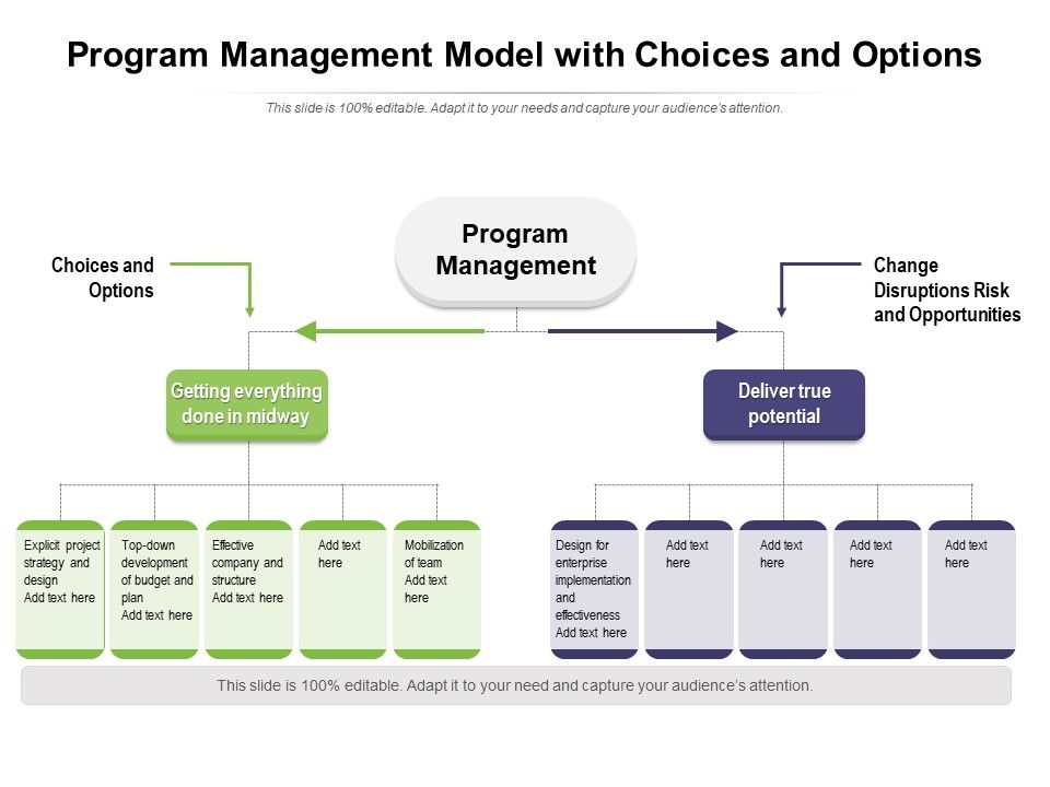 Program_Management_Model_With_Choices_And_Options_Ppt_PowerPoint_Presentation_Outline_Slideshow_PDF_Slide_1.jpg