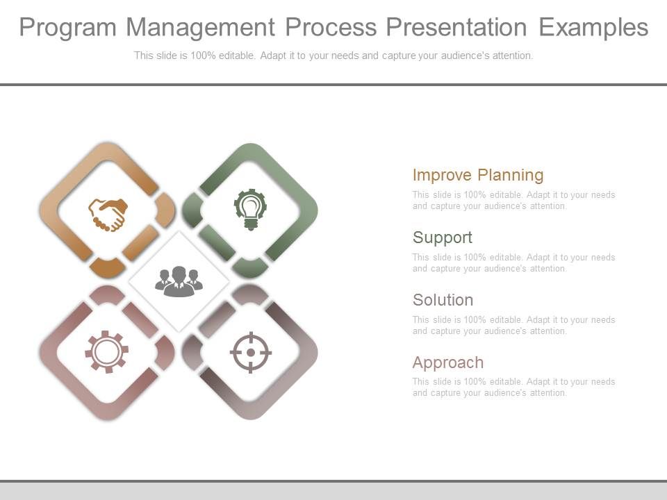Program_Management_Process_Presentation_Examples_1.jpg