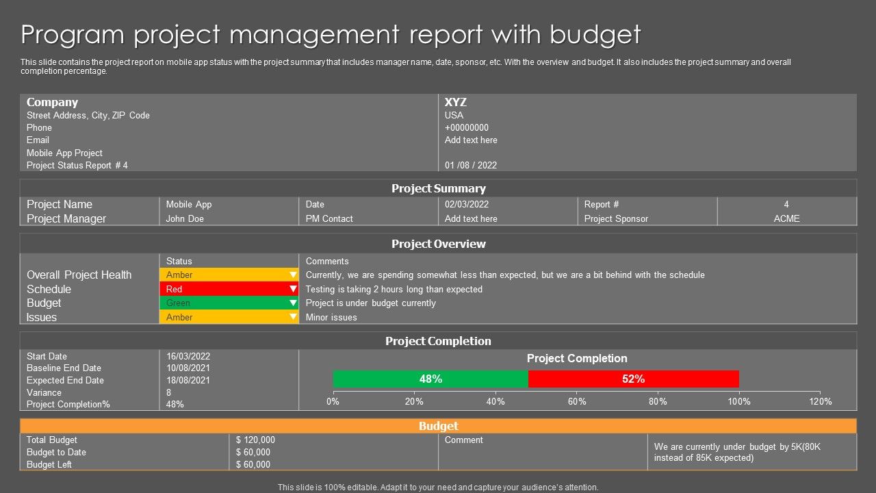 Program_Project_Management_Report_With_Budget_Ppt_Summary_Rules_PDF_Slide_1.jpg