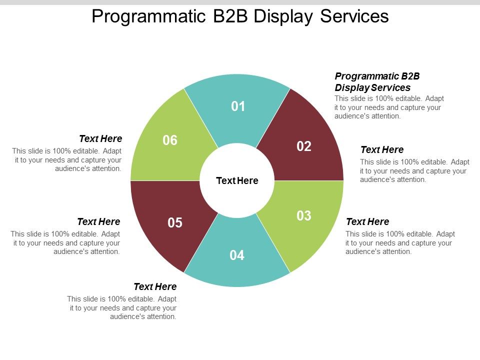 Programmatic_B2B_Display_Services_Ppt_PowerPoint_Presentation_Infographic_Template_Brochure_Cpb_Slide_1.jpg