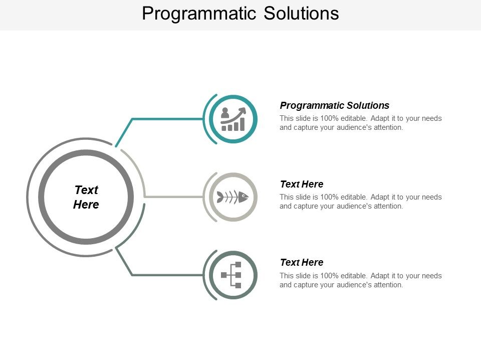 Programmatic_Solutions_Ppt_PowerPoint_Presentation_Summary_Brochure_Cpb_Slide_1.jpg