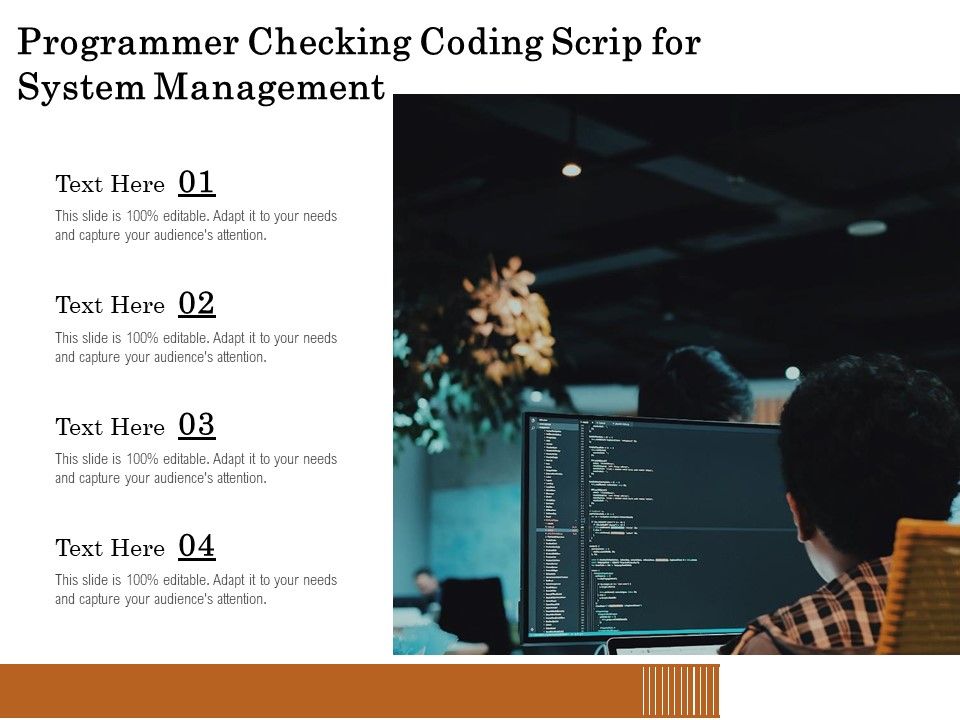 Programmer_Checking_Coding_Scrip_For_System_Management_Ppt_PowerPoint_Presentation_Portfolio_Background_Images_PDF_Slide_1.jpg