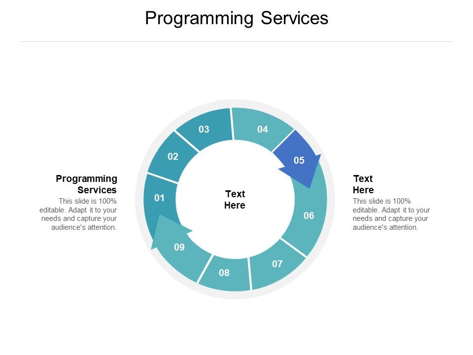 Programming_Services_Ppt_PowerPoint_Presentation_Inspiration_Ideas_Cpb_Pdf_Slide_1.jpg