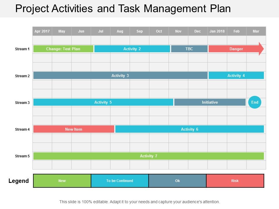 Project_Activities_And_Task_Management_Plan_Ppt_PowerPoint_Presentation_Ideas_Graphics_Slide_1.jpg