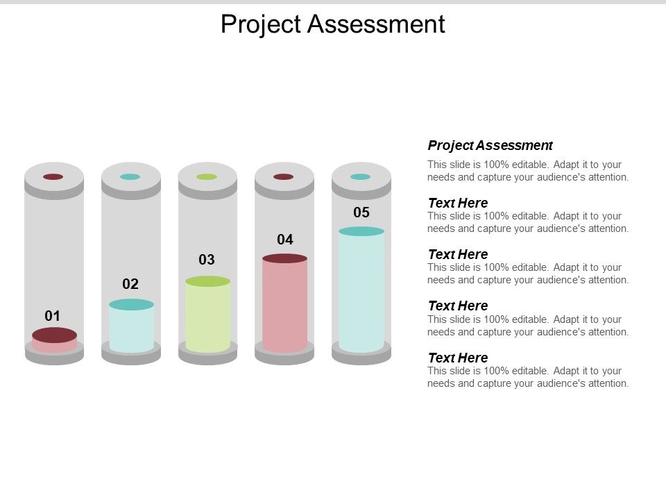 Project_Assessment_Ppt_PowerPoint_Presentation_Summary_Microsoft_Cpb_Slide_1.jpg
