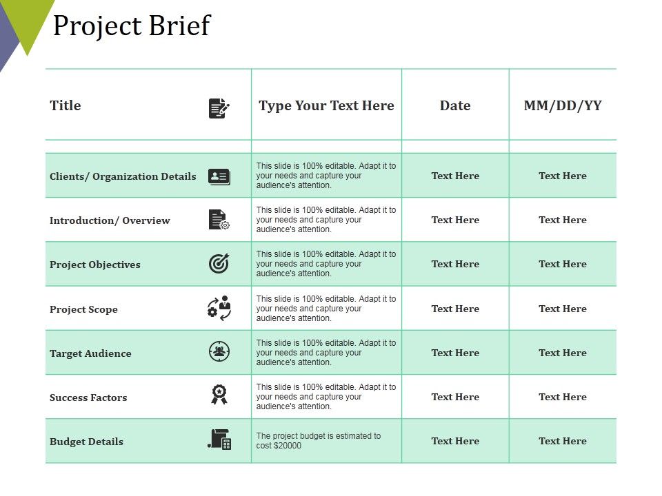 Project_Brief_Ppt_PowerPoint_Presentation_Infographics_Tips_Slide_1.jpg