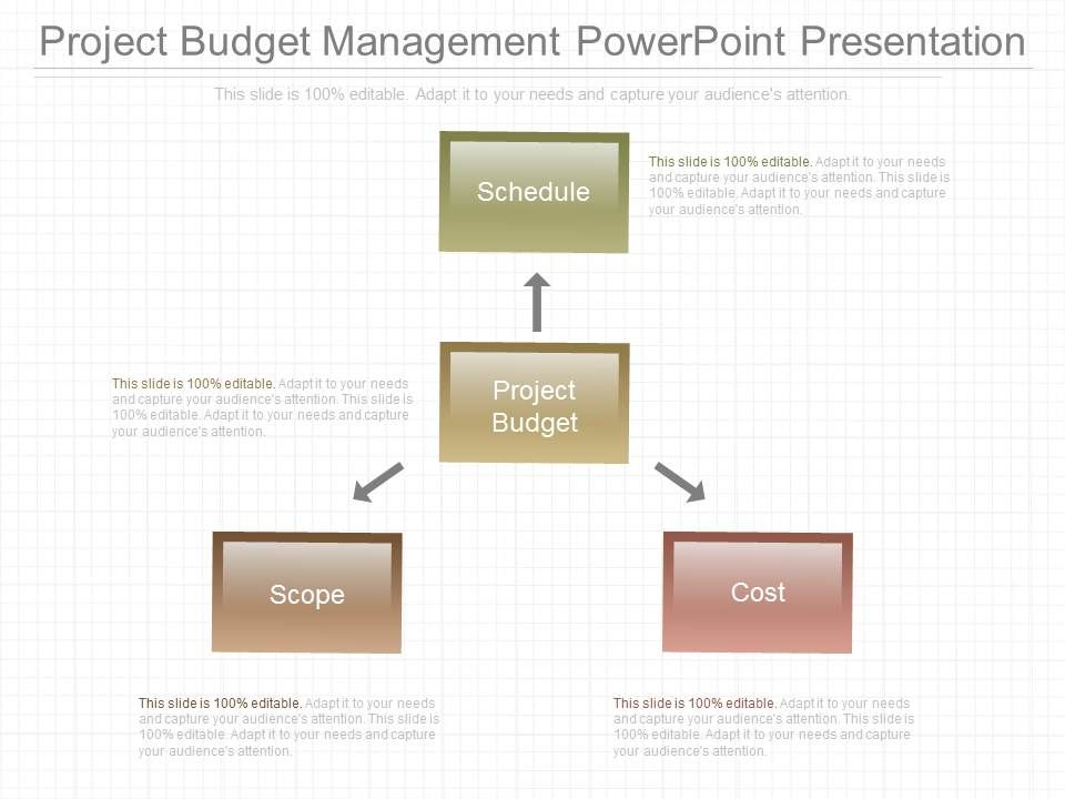 Project_Budget_Management_Powerpoint_Presentation_1.jpg