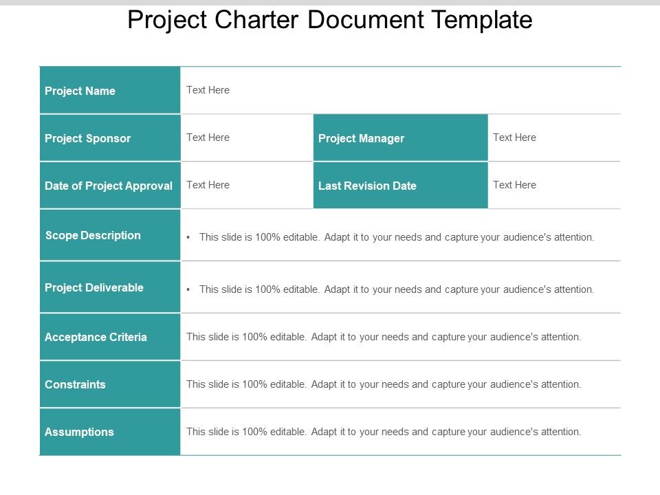 Project_Charter_Document_Template_Ppt_PowerPoint_Presentation_Inspiration_Diagrams_Slide_1.jpg