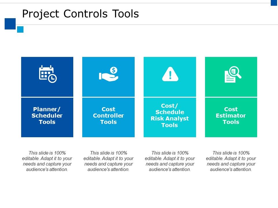 Project_Controls_Tools_Ppt_PowerPoint_Presentation_Styles_Maker_Slide_1.jpg