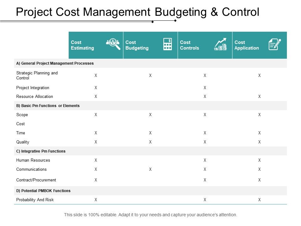 Project_Cost_Management_Budgeting_And_Control_Ppt_PowerPoint_Presentation_File_Skills_Slide_1.jpg