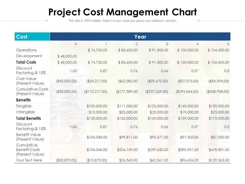 Project_Cost_Management_Chart_Ppt_PowerPoint_Presentation_Infographic_Template_Layout_Ideas_PDF_Slide_1.jpg