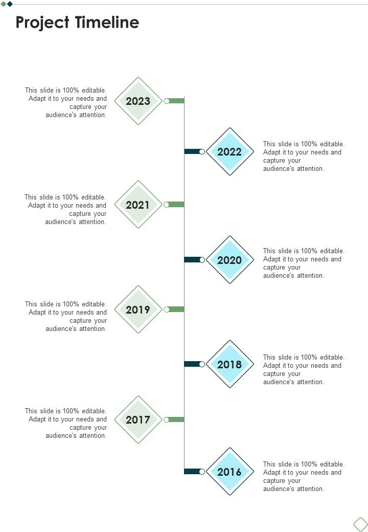 Project Development Planning Proposal Template Project Timeline One Pager Sample Example Document Slide01