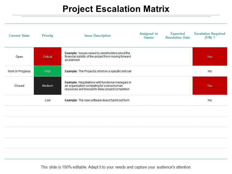 Project_Escalation_Matrix_Ppt_PowerPoint_Presentation_Model_Example_Slide_1.jpg
