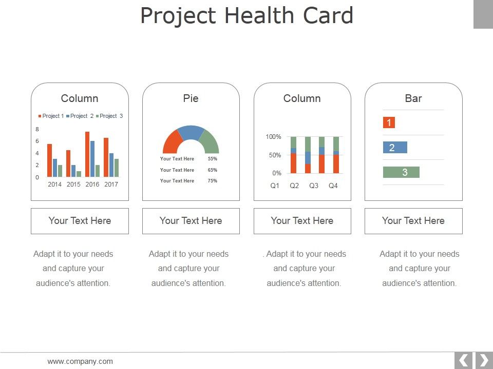 Project_Health_Card_Template_1_Ppt_PowerPoint_Presentation_Professional_Example_Slide_1.jpg