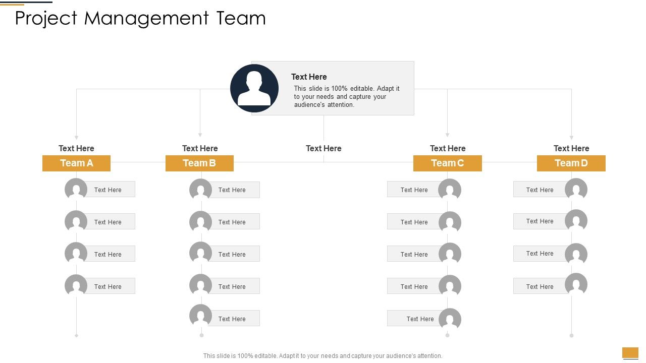 Project_Ideation_And_Administration_Project_Management_Team_Ppt_Visual_Aids_Background_Images_PDF_Slide_1.jpg