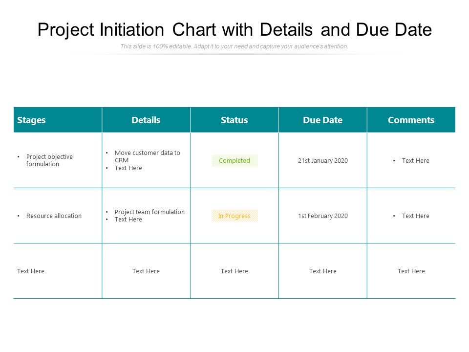 Project_Initiation_Chart_With_Details_And_Due_Date_Ppt_PowerPoint_Presentation_Portfolio_Master_Slide_PDF_Slide_1.jpg