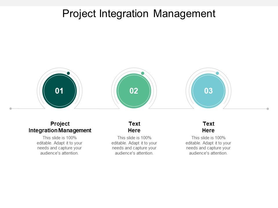 Project_Integration_Management_Ppt_PowerPoint_Presentation_Gallery_Slides_Cpb_Slide_1.jpg