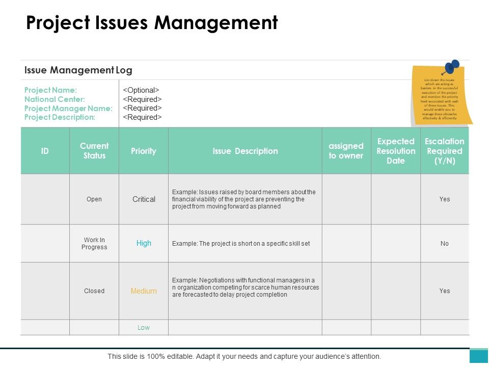 Project_Issues_Management_Ppt_PowerPoint_Presentation_Summary_Layouts_Slide_1.jpg