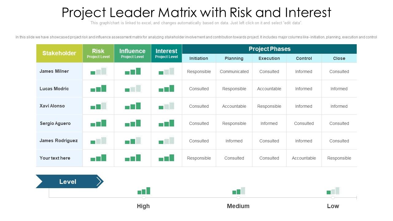 Project_Leader_Matrix_With_Risk_And_Interest_Ppt_PowerPoint_Presentation_File_Graphic_Tips_PDF_Slide_1.jpg