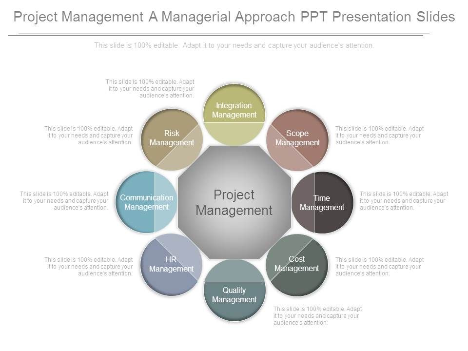 Project_Management_A_Managerial_Approach_Ppt_Presentation_Slides_1.jpg