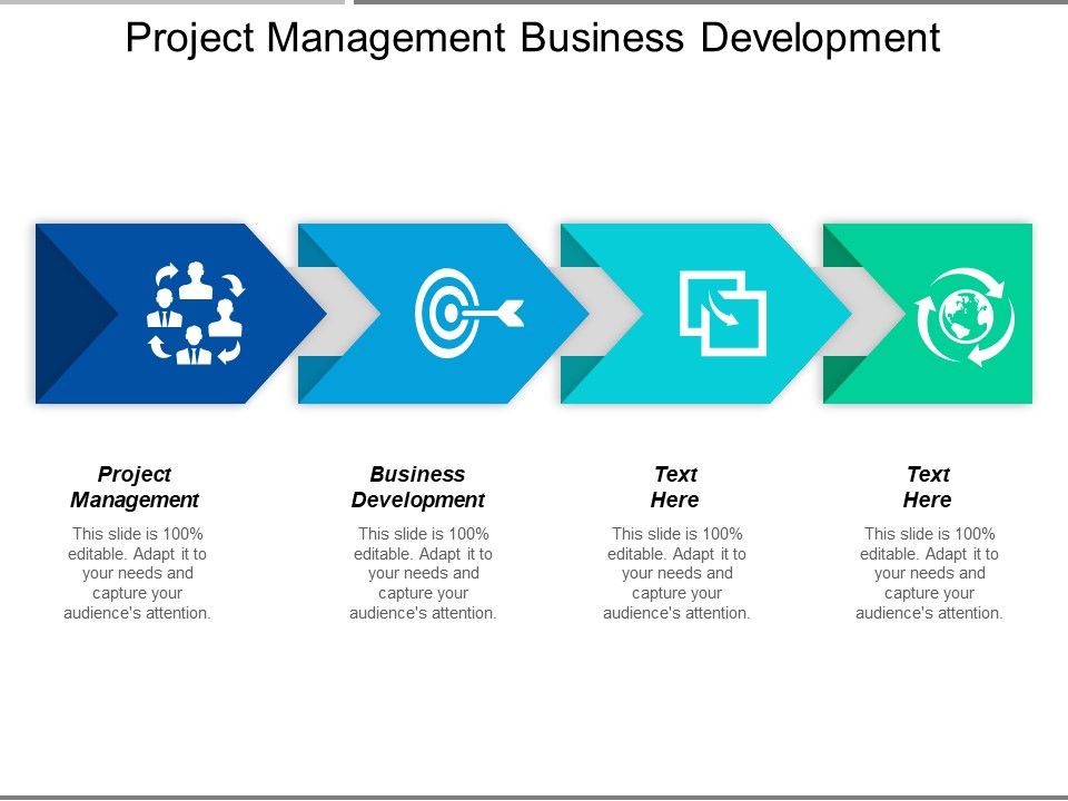 Project_Management_Business_Development_Ppt_PowerPoint_Presentation_Pictures_Guidelines_Slide_1.jpg